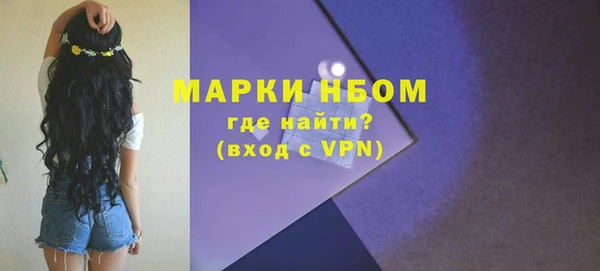 твердый Сясьстрой