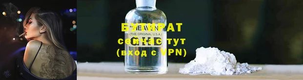 индика Новозыбков