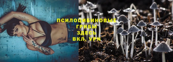 спиды Няндома